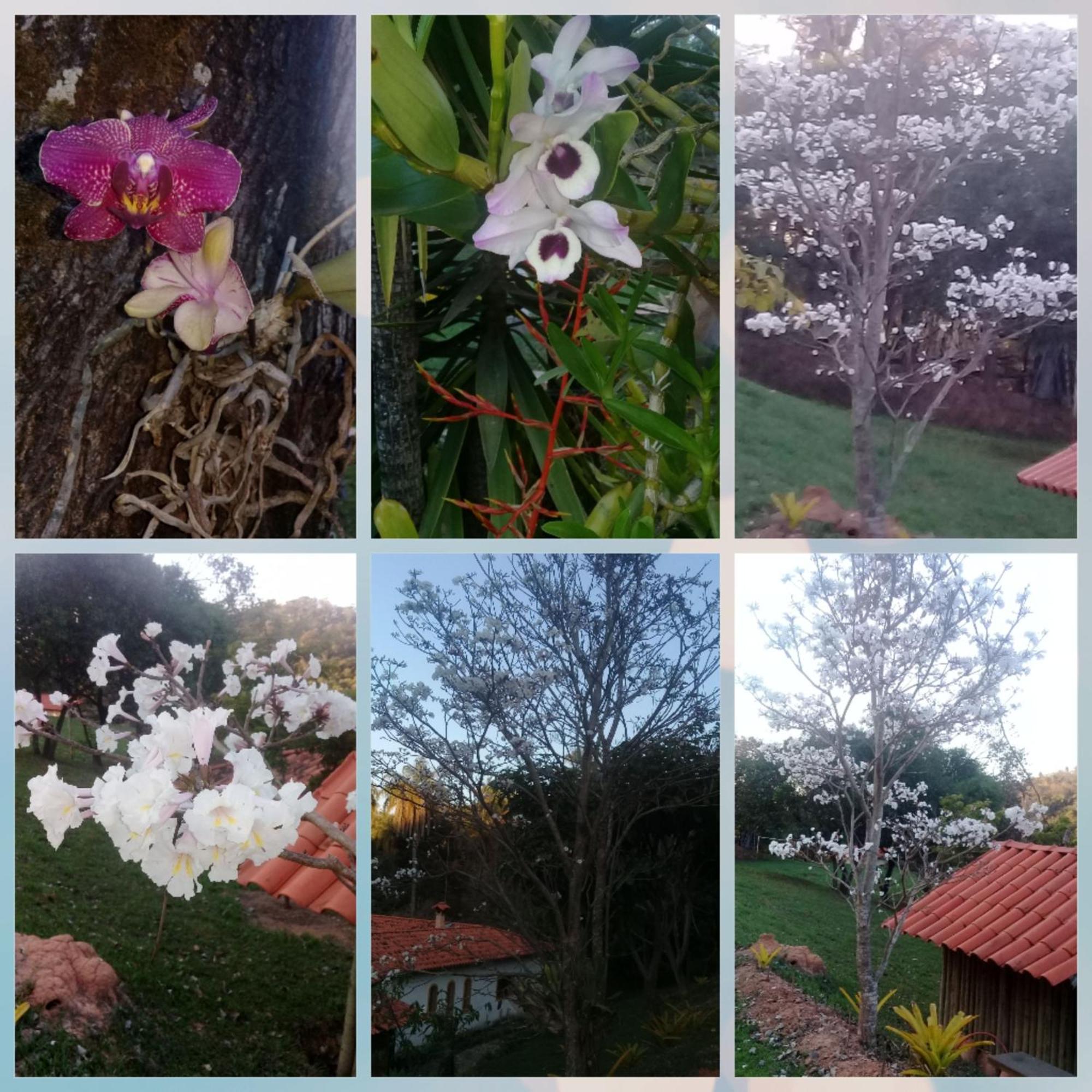 Pousada Rancho Flores Caeté Esterno foto