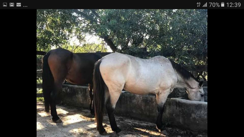 Pousada Rancho Flores Caeté Esterno foto