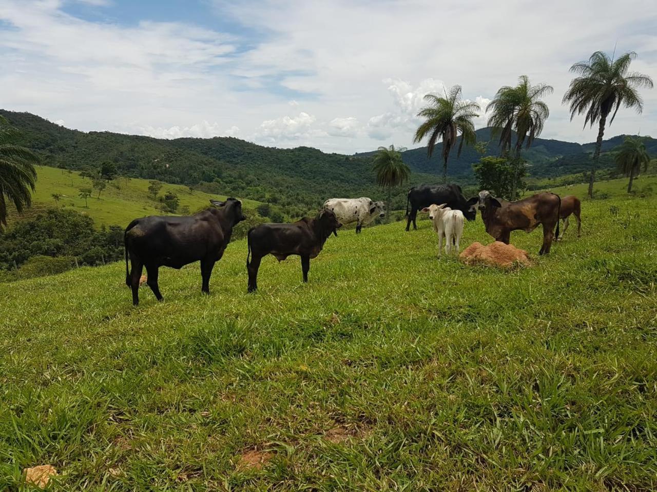 Pousada Rancho Flores Caeté Esterno foto